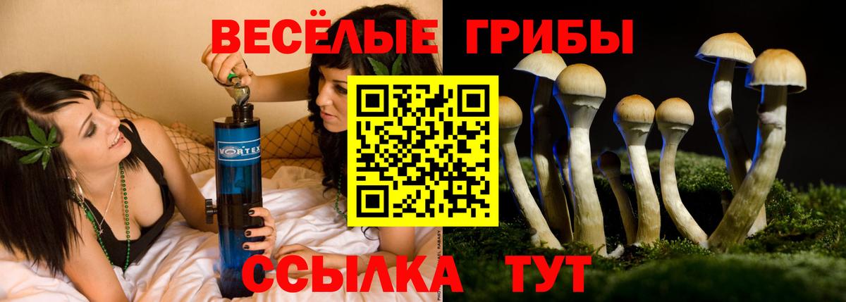 Гулькевичи  Галлюциногенные грибы Psilocybine cubensis  Псилоцибиновые грибы Psilocybe  Вход с VPN 